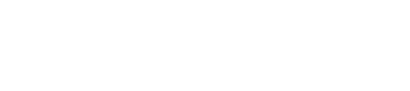 Fidira - Tech Integration Partners - Polygon